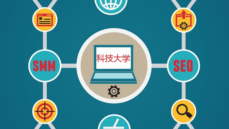 全网营销平台选型：避开误区，精准出击